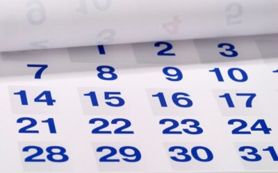 Tax Diary May/June 2024